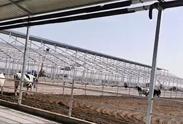 深圳客戶牛棚橫梁護線拖鏈應用案例